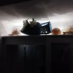 La Fenice Apartman